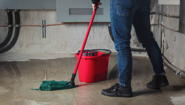 Best Local water damage restoration  in Pryor Creek, OK