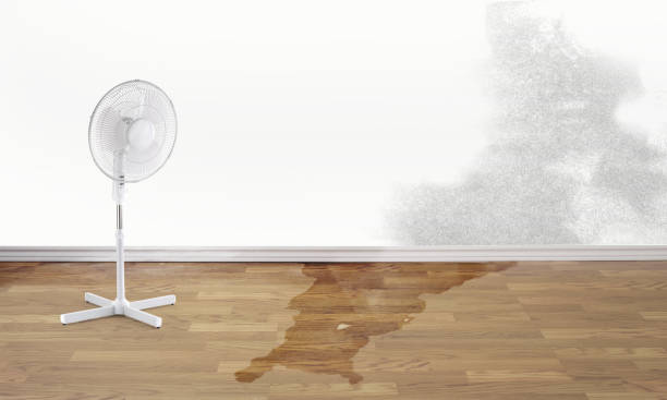 Best Water damage restoration near me  in Pryor Creek, OK