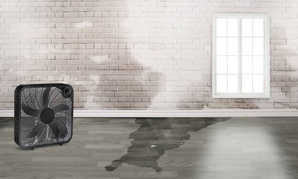 Best 24/7 water damage repair  in Pryor Creek, OK